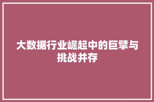 大数据行业崛起中的巨擘与挑战并存  第1张
