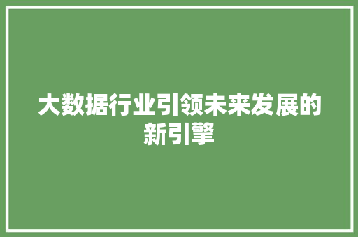 大数据行业引领未来发展的新引擎