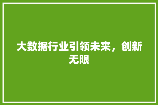 大数据行业引领未来，创新无限  第1张
