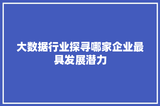 大数据行业探寻哪家企业最具发展潜力  第1张