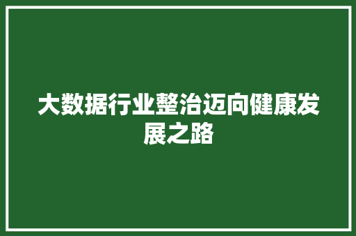 大数据行业整治迈向健康发展之路  第1张