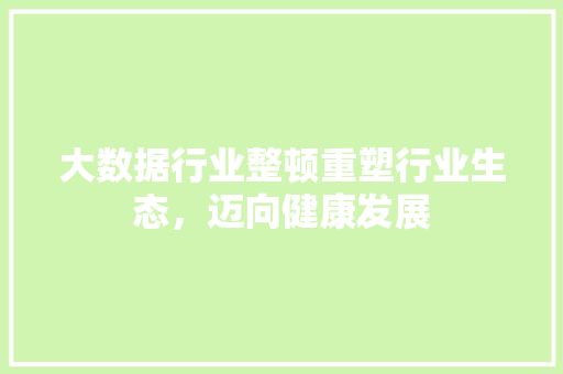 大数据行业整顿重塑行业生态，迈向健康发展  第1张