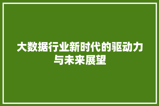 大数据行业新时代的驱动力与未来展望  第1张