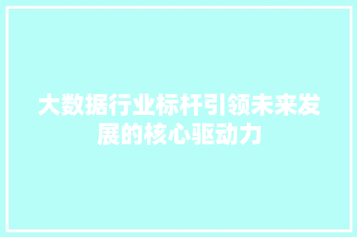 大数据行业标杆引领未来发展的核心驱动力  第1张