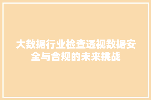 大数据行业检查透视数据安全与合规的未来挑战