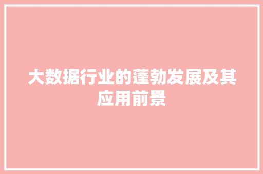 大数据行业的蓬勃发展及其应用前景  第1张