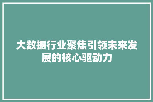 大数据行业聚焦引领未来发展的核心驱动力