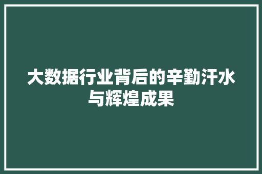 大数据行业背后的辛勤汗水与辉煌成果  第1张