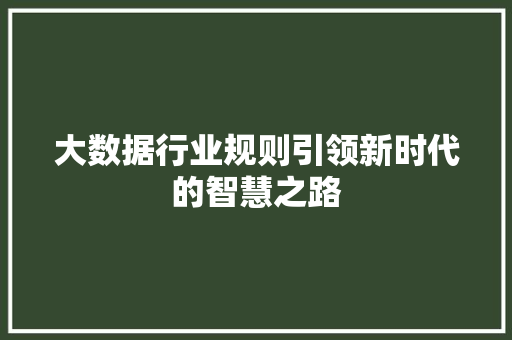大数据行业规则引领新时代的智慧之路  第1张
