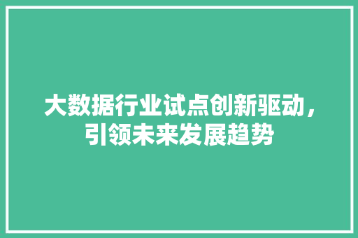 大数据行业试点创新驱动，引领未来发展趋势  第1张