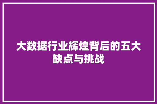 大数据行业辉煌背后的五大缺点与挑战