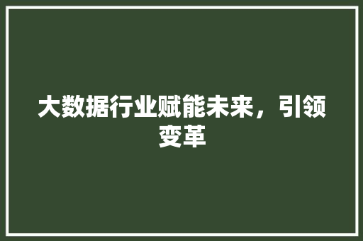 大数据行业赋能未来，引领变革