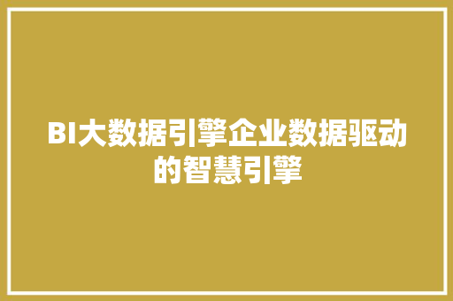 BI大数据引擎企业数据驱动的智慧引擎