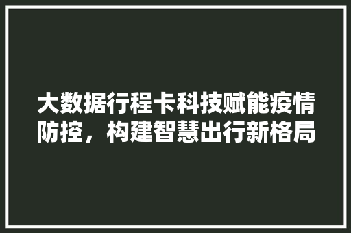 大数据行程卡科技赋能疫情防控，构建智慧出行新格局  第1张