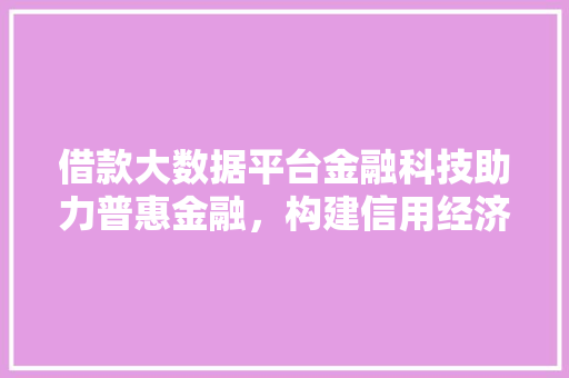 借款大数据平台金融科技助力普惠金融，构建信用经济新生态  第1张