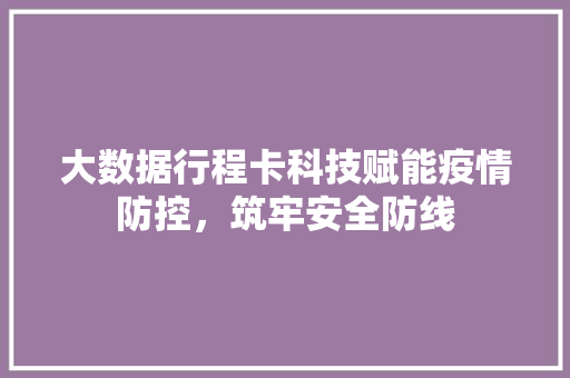大数据行程卡科技赋能疫情防控，筑牢安全防线  第1张
