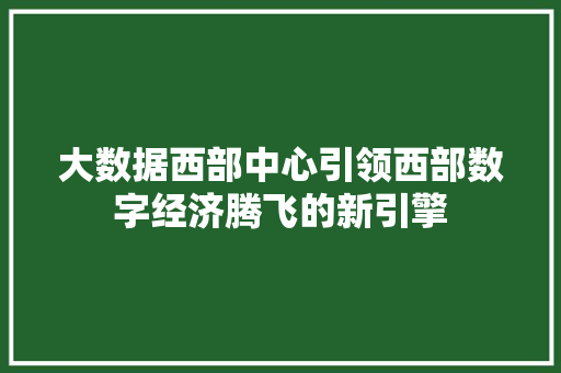 大数据西部中心引领西部数字经济腾飞的新引擎  第1张
