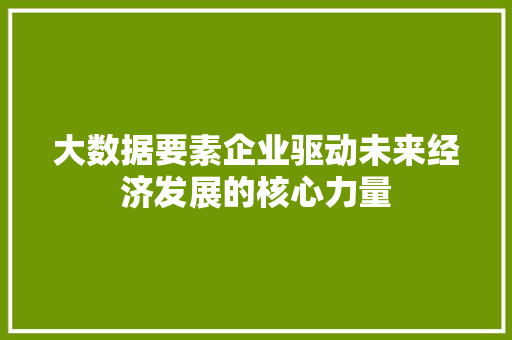 大数据要素企业驱动未来经济发展的核心力量  第1张
