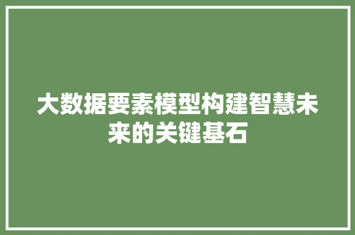 大数据要素模型构建智慧未来的关键基石