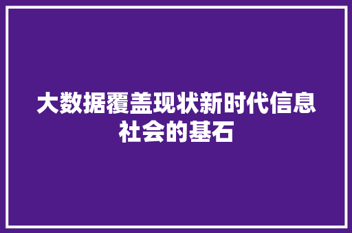 大数据覆盖现状新时代信息社会的基石  第1张
