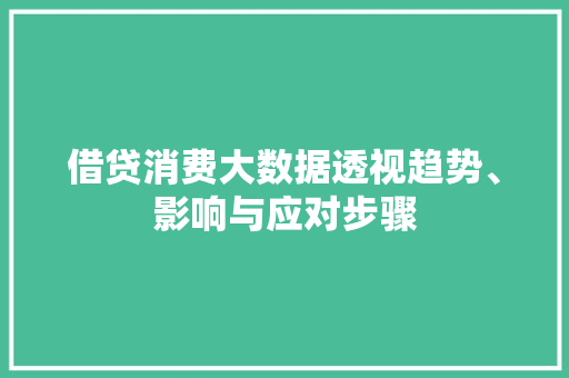 借贷消费大数据透视趋势、影响与应对步骤  第1张