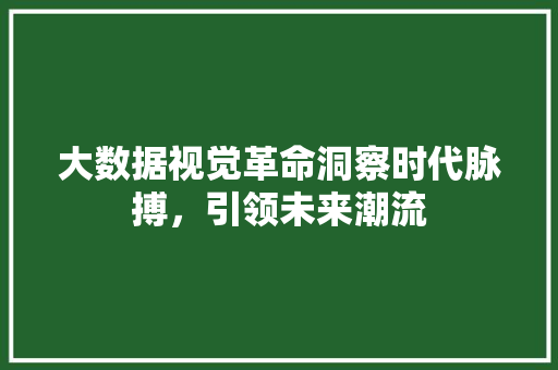 大数据视觉革命洞察时代脉搏，引领未来潮流