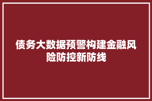 债务大数据预警构建金融风险防控新防线  第1张