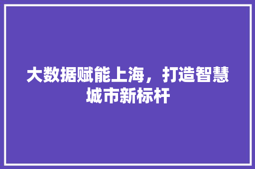大数据赋能上海，打造智慧城市新标杆