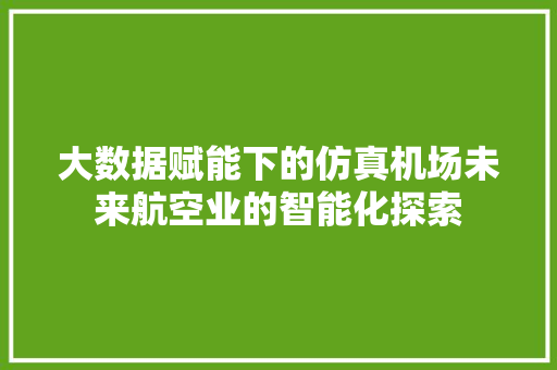 大数据赋能下的仿真机场未来航空业的智能化探索