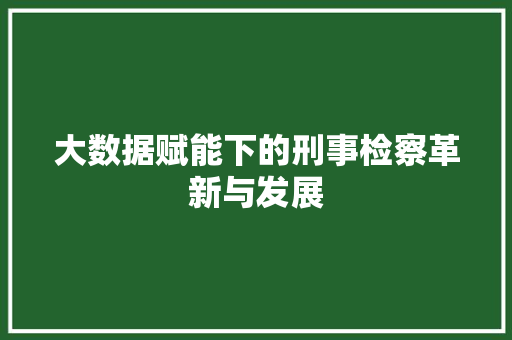 大数据赋能下的刑事检察革新与发展  第1张