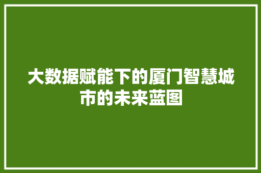 大数据赋能下的厦门智慧城市的未来蓝图