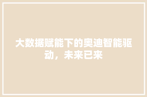 大数据赋能下的奥迪智能驱动，未来已来  第1张