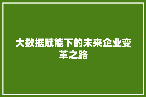 大数据赋能下的未来企业变革之路  第1张