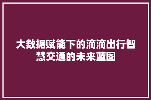 大数据赋能下的滴滴出行智慧交通的未来蓝图  第1张