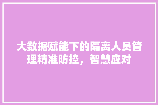 大数据赋能下的隔离人员管理精准防控，智慧应对