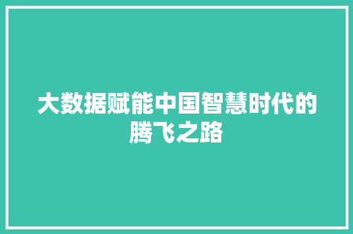 大数据赋能中国智慧时代的腾飞之路