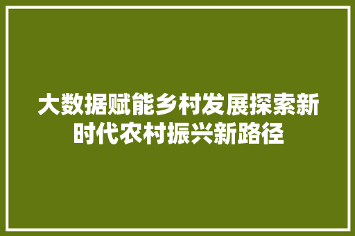 大数据赋能乡村发展探索新时代农村振兴新路径  第1张