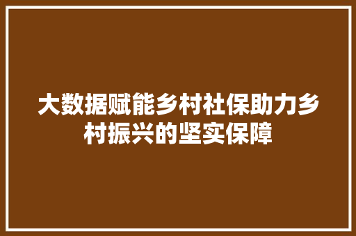 大数据赋能乡村社保助力乡村振兴的坚实保障  第1张