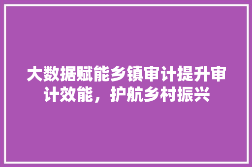 大数据赋能乡镇审计提升审计效能，护航乡村振兴  第1张