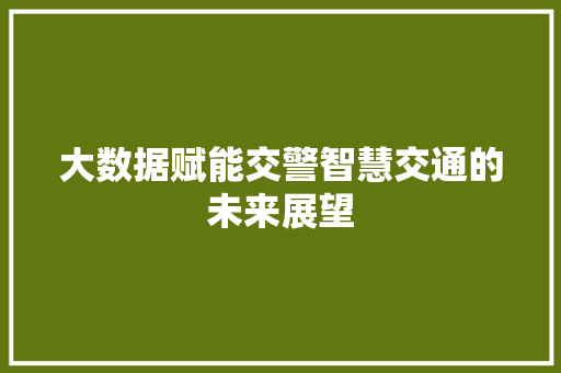 大数据赋能交警智慧交通的未来展望  第1张