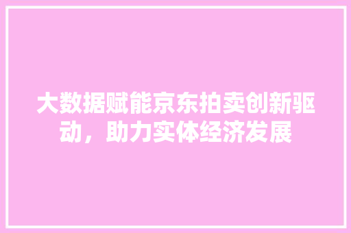 大数据赋能京东拍卖创新驱动，助力实体经济发展  第1张