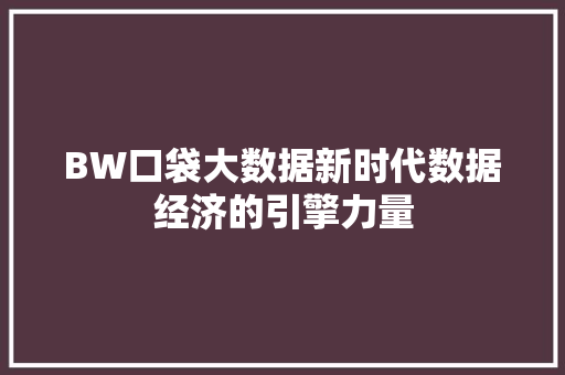 BW口袋大数据新时代数据经济的引擎力量