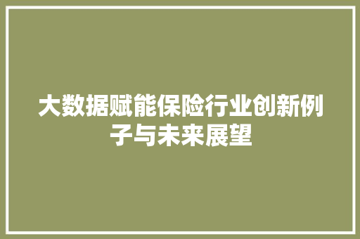 大数据赋能保险行业创新例子与未来展望