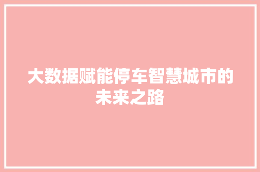 大数据赋能停车智慧城市的未来之路  第1张