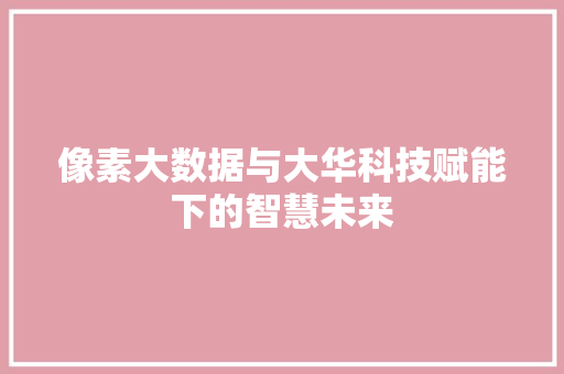 像素大数据与大华科技赋能下的智慧未来  第1张