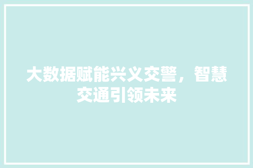 大数据赋能兴义交警，智慧交通引领未来