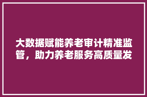 大数据赋能养老审计精准监管，助力养老服务高质量发展  第1张