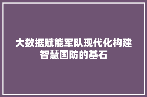 大数据赋能军队现代化构建智慧国防的基石