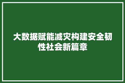 大数据赋能减灾构建安全韧性社会新篇章  第1张
