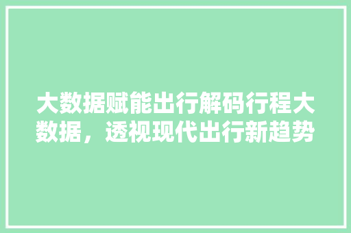 大数据赋能出行解码行程大数据，透视现代出行新趋势  第1张